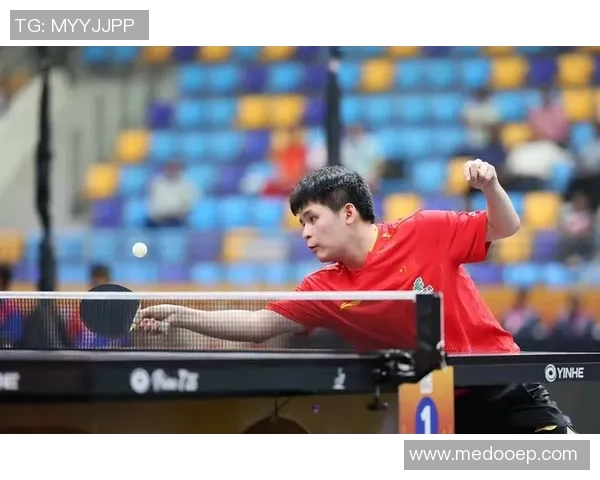 乒乓球传奇：杭州乒乓球队逆袭之路的奋斗与荣耀